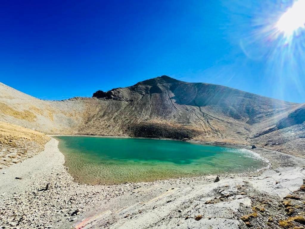 Les Glycines, Charmant Studio Au Calme Dans Batisse De Maitre Proche Du Centre Ville Parking Gratuit ديني-ليه-بان المظهر الخارجي الصورة